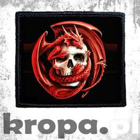 Naszywka SMOK Z CZACHĄ