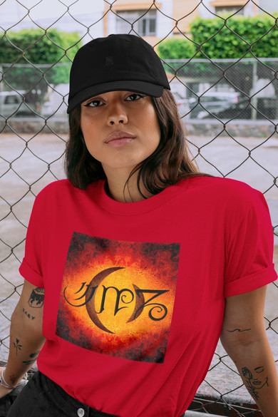 Koszulka z naszywką A Perfect Circle 02