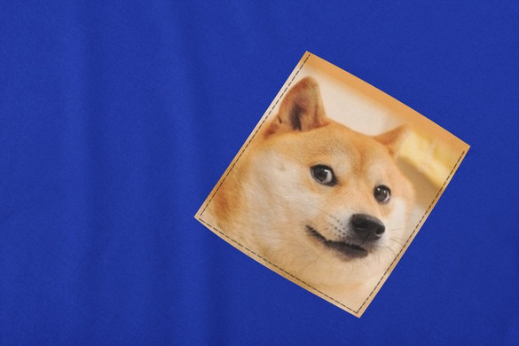 Koszulka z kieszonką PIES PIESEŁ