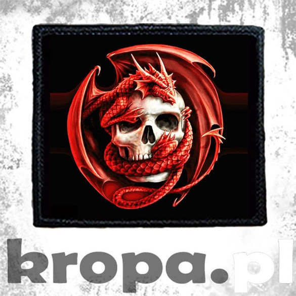 Naszywka SMOK Z CZACHĄ