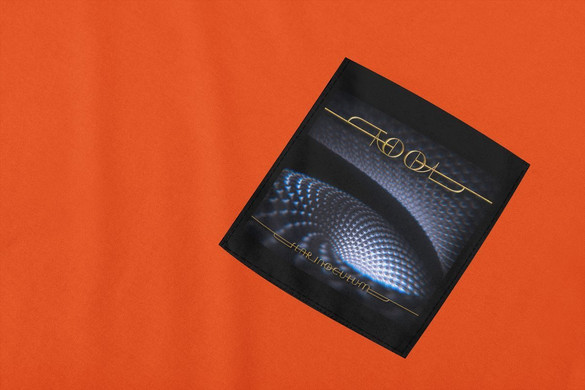 Koszulka z kieszonką TOOL Fear Inoculum