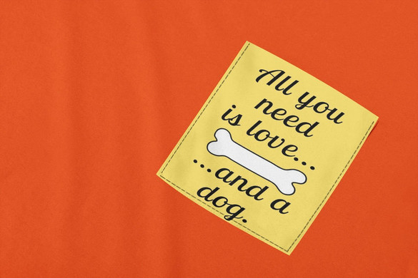 Koszulka z kieszonką ALL YOU NEED IS