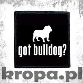 Naszywka GOT BULLDOG ? 02