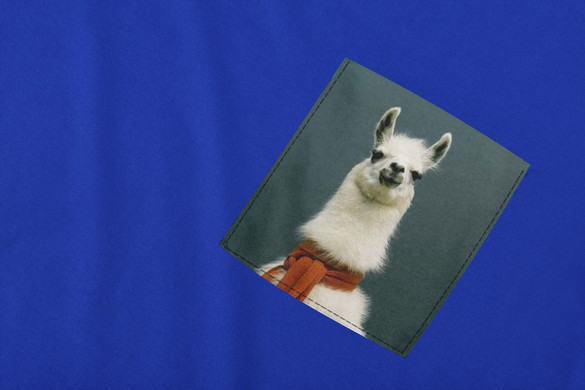 Koszulka z kieszonką LAMA