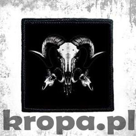 Naszywka SKULLS 01