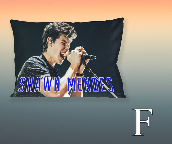 Poduszka SHAWN MENDES 60x40cm WZORY