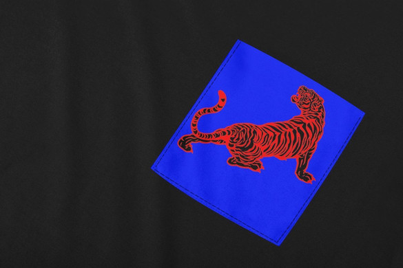 Koszulka z kieszonką TYGRYS