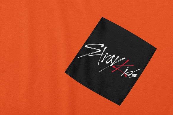 Koszulka z kieszonką STRAY KIDS 01