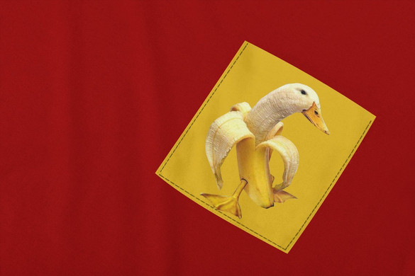 	Koszulka z kieszonką BANANA DUCK