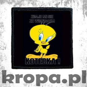 Naszywka ZDAJE MI SIE, ZE WIDZIALEM KOTECKA!