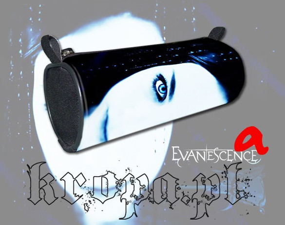 Piórnik szkolny EVANESCENCE