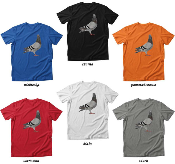 Koszulka GOŁĄB - GOŁOMP dodaj napis!