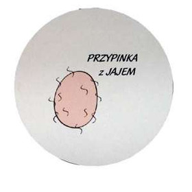Przypinka PRZYPINKA Z JAJEM - 01