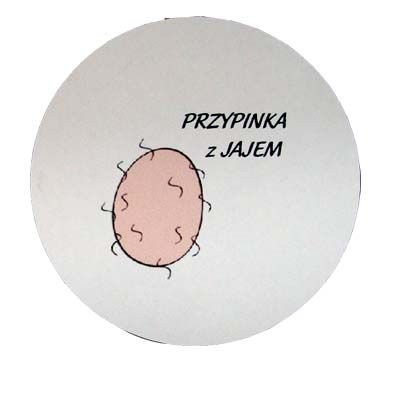 Przypinka PRZYPINKA Z JAJEM - 01