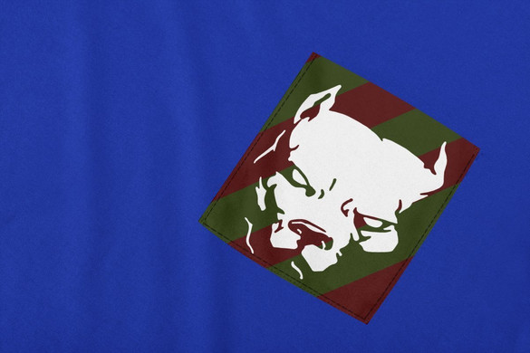 Koszulka z kieszonką PIT BULL