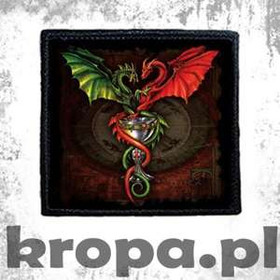 Naszywka DRAGONS