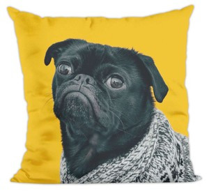 Poduszka Pug