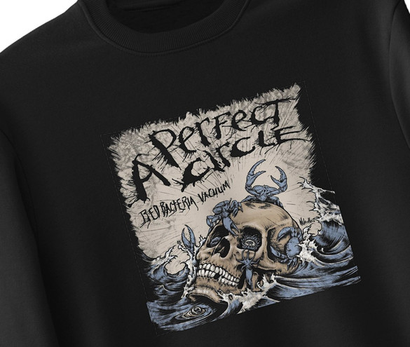 Bluza z naszywką A Perfect Circle 02