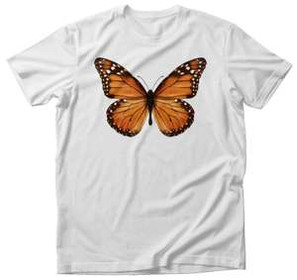 Koszulka MOTYL BUTTERFLY