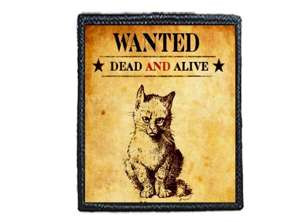Naszywka WANTED DEAD AND ALIVE / POSZUKIWANT MARTWY LUB ŻYWY