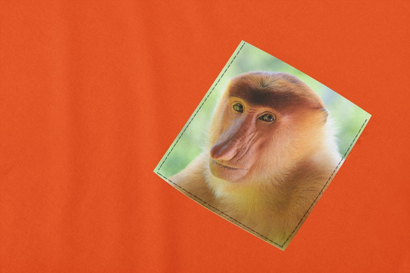 Koszulka z kieszonką JANUSZ NOSACZ