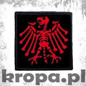 Naszywka DIE TOTEN HOSEN 05