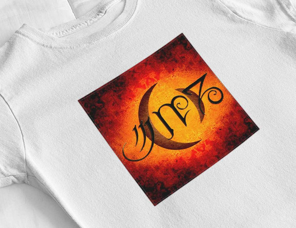 Bluzka damska z naszywką A Perfect Circle 02