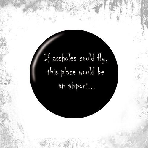 Przypinka IF ASSHOLES COULD FLY...