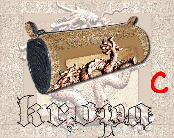 Piórnik szkolny DRAGON