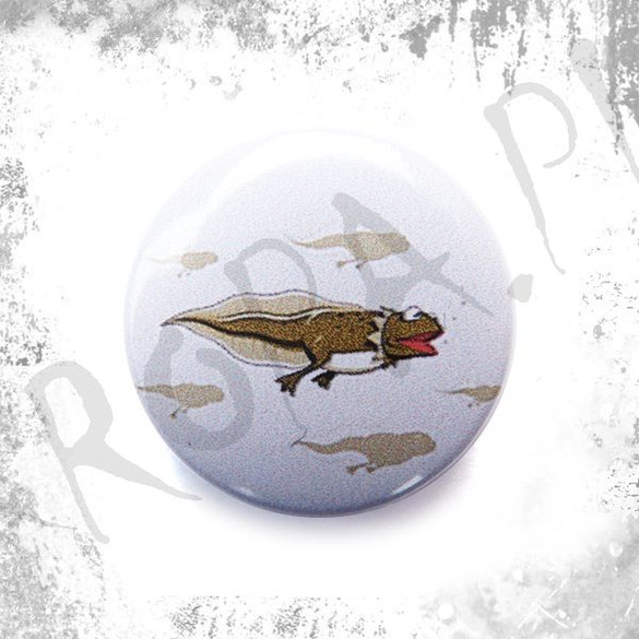 Przypinka KERMIT KIJANKA