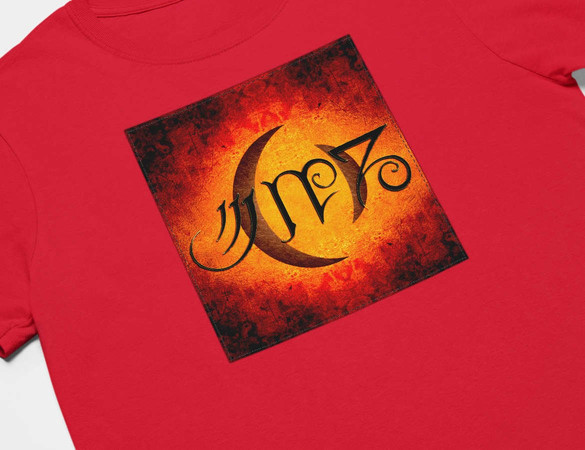 Koszulka z naszywką A Perfect Circle 02