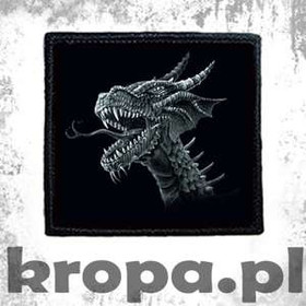 Naszywka DRAGON 01