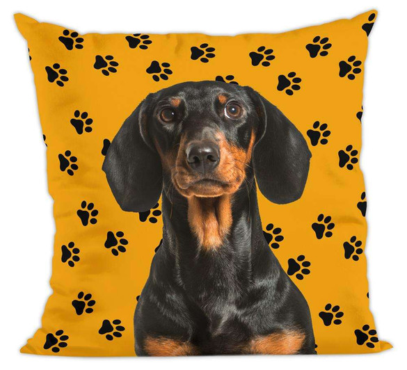 Poduszka pies, piesek jamnik