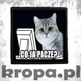 Naszywka CO JA PACZE?