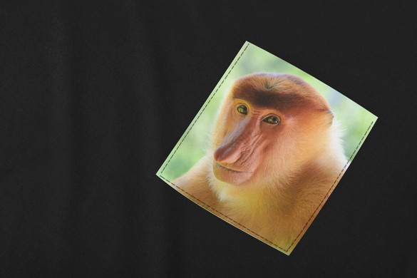 Koszulka z kieszonką JANUSZ NOSACZ