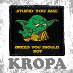 Naszywka Stupid You Are...