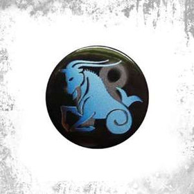 Przypinka ZNAK ZODIAKU - KOZIOROŻEC 01