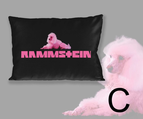 Poduszka RAMMSTEIN 60x40cm WZORY
