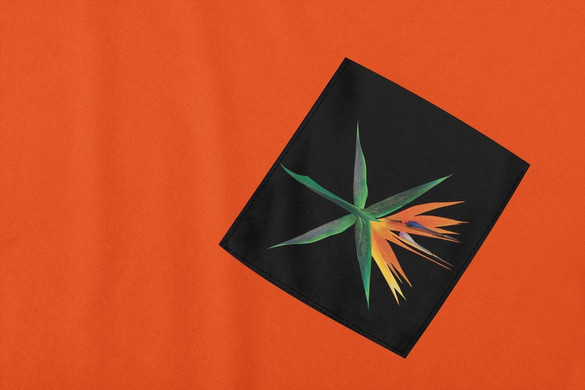 Koszulka z kieszonką EXO