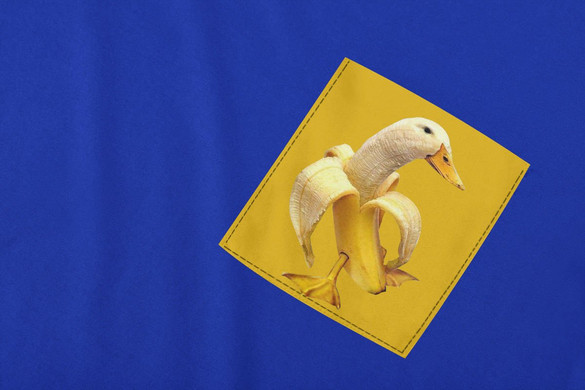 	Koszulka z kieszonką BANANA DUCK