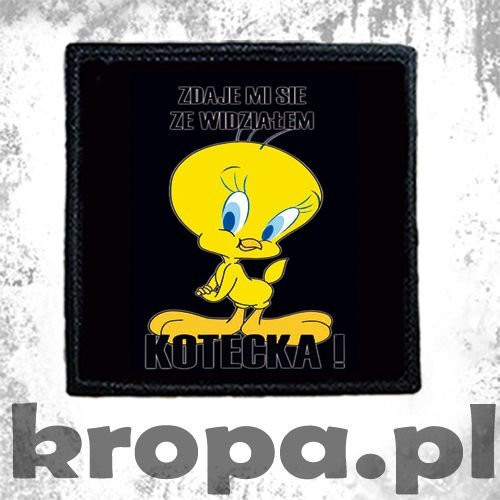 Naszywka ZDAJE MI SIE, ZE WIDZIALEM KOTECKA!