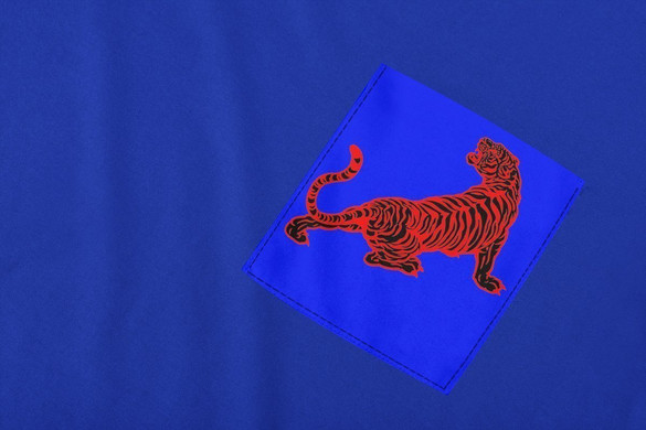 Koszulka z kieszonką TYGRYS