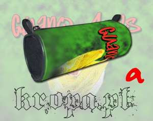 Piórnik szkolny  GUANO APES