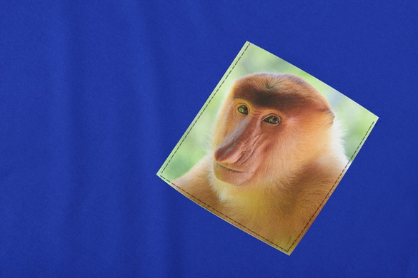 Koszulka z kieszonką JANUSZ NOSACZ