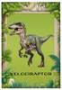 Velociraptor