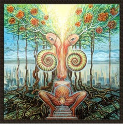 Naszywka Wizjonerska Psychodeliczna 410