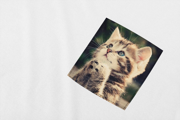 Koszulka z kieszonką KOT PROSZĘ 