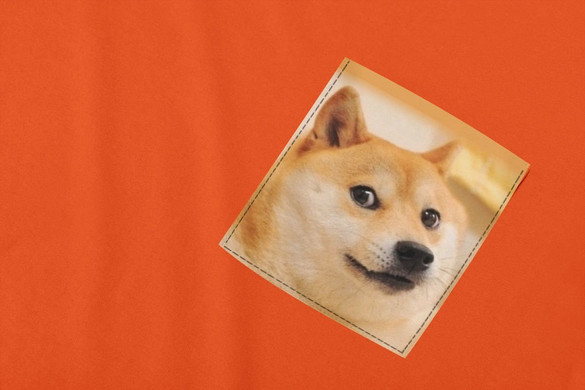 Koszulka z kieszonką PIES PIESEŁ