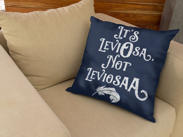 Poduszka Harry Potter leviosa