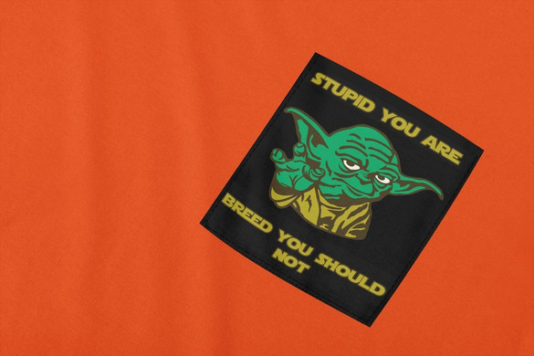 Koszulka z kieszonką STUPID YOU ARE ..YODA